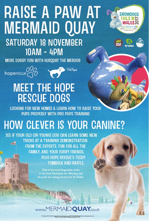 HusQuay the Merdog tweet media