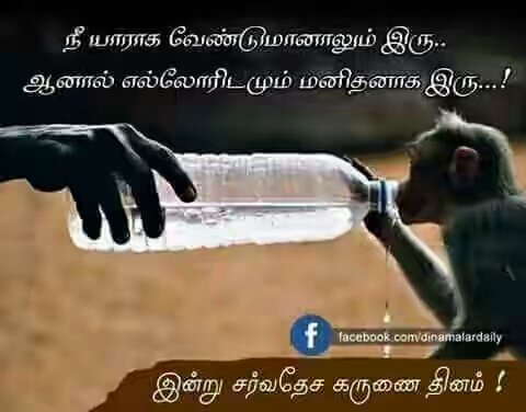 Muralid66095239's tweet photo. ## எல்லாரும் பொருந்தும் ☺ https://t.co/hgpY9se7JS