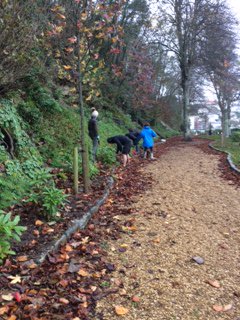 SCFSL_Gsy's tweet photo. It was a pleasure to be at La Vallette on Saturday planting Daffodils in memory of our colleague John Wallis, an area he was extremely passionate about https://t.co/x18dcZOPhD