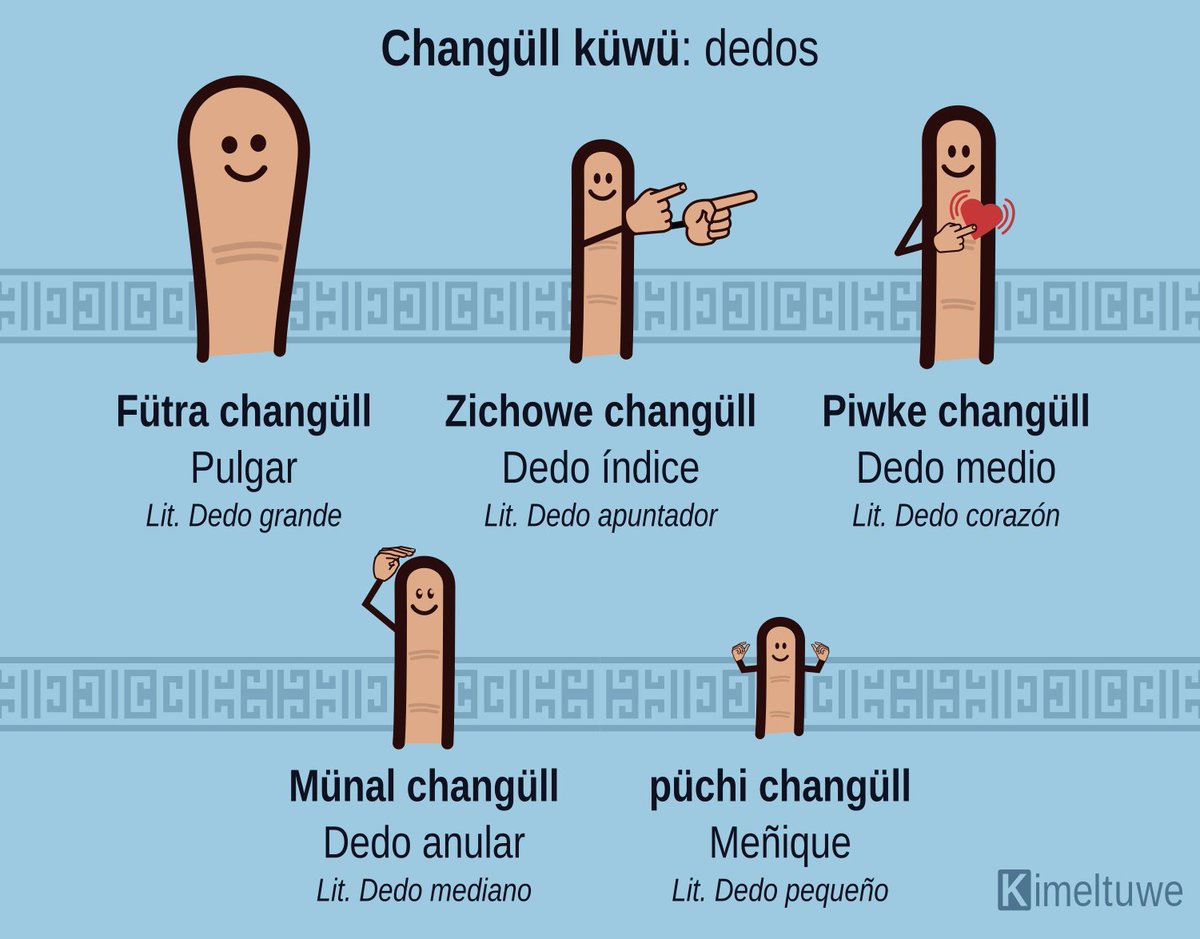 Kimeltuwe Changull Kuwu Dedos De La Mano Traduccion Y Significados Literales De Los Nombres De Los Dedos De La Mano Aprende La T Co Cyed87y95g T Co Tvos8ehydl