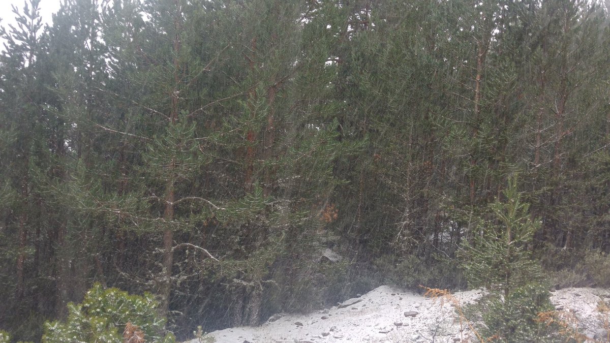 meteoduruelo's tweet photo. Mañana fría, y ligera nevada en Urbión, donde la temperatura está a bajo cero, con fuertes rachas de viento N y ventisca.
A primera hora, cota 1650 metros.
Duruelo de la Sierra, Soria
@AEMET_Esp @AEMET_CyL @tiempo_rtvcyl @agomezmeteo https://t.co/HL767bHUOE