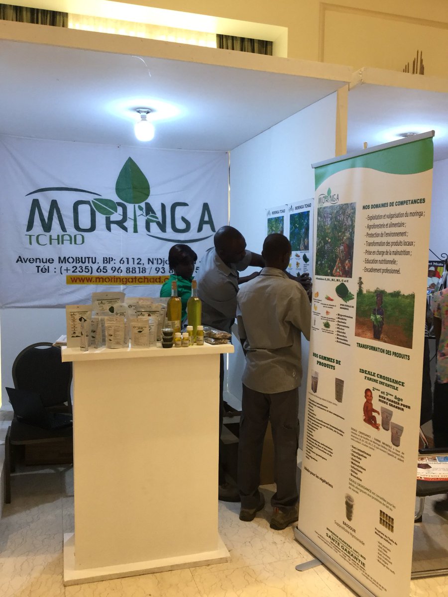 Promoting and doing business in Chad 🇹🇩<a href="/RVO_Int_Ond/">RVO Internationaal</a> <a href="/DutchMFA/">Dutch Ministry of Foreign Affairs 🇳🇱</a>