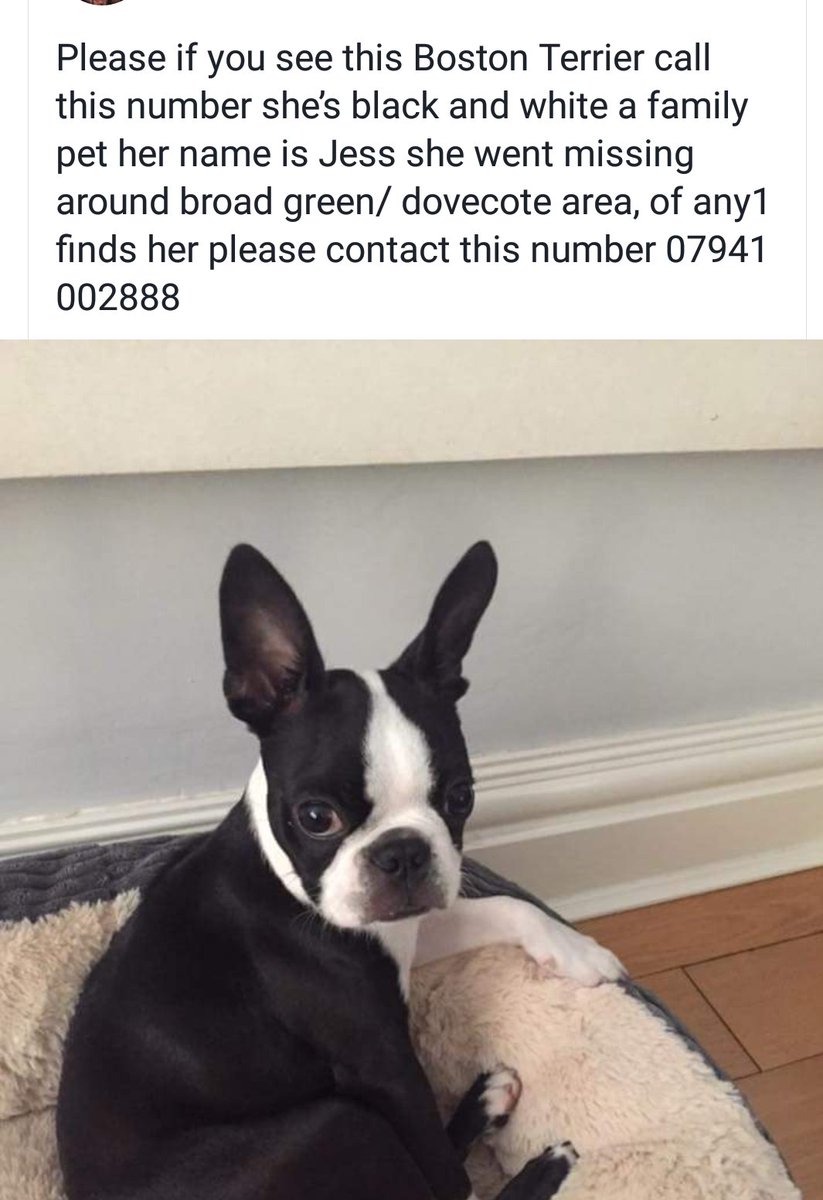 peteb333's tweet photo. Hi people could u give this a retweet, lost L14 area, especially thise with thousands of followers? Worth a try, thanks. https://t.co/tYMPa6z2Ia