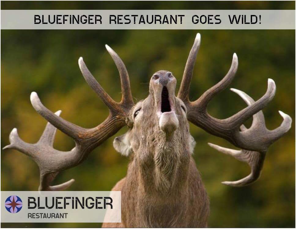 Rest_Bluefinger's tweet image. JOEHOE... houd ons goed in de gaten!