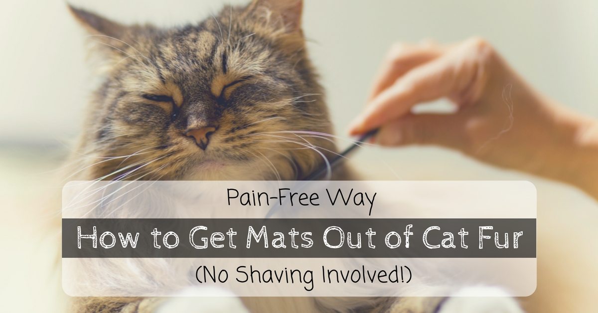 Debby Jackson Debbyjackson18 Twitter