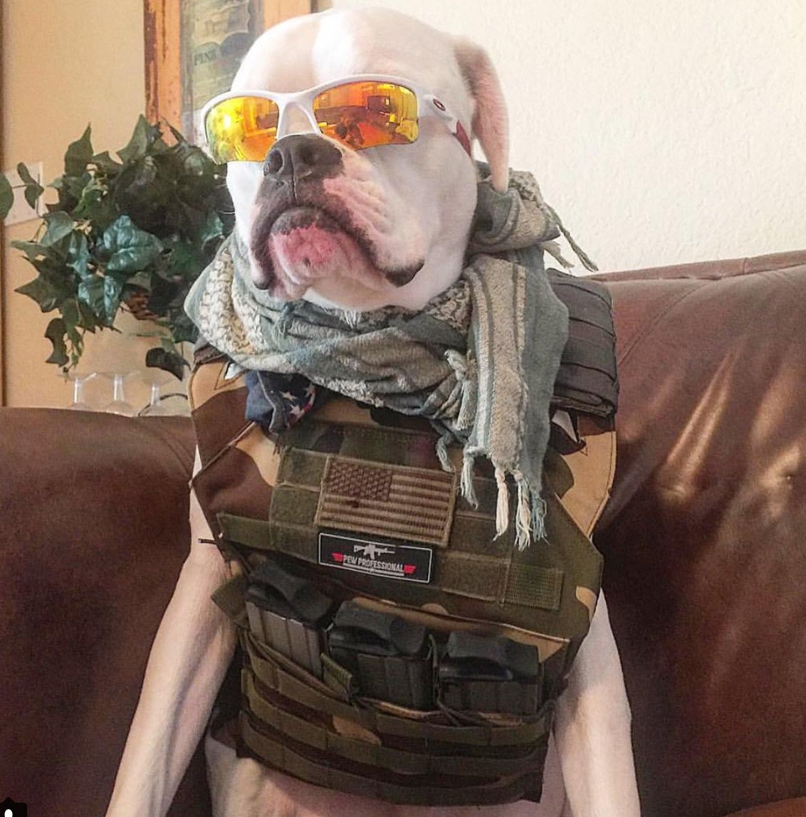 blckriflecoffee's tweet image. Morning Coffee...check.....Flak Vest....check...Cool Shades...check  #ConquerMonday #CoffeeorDie