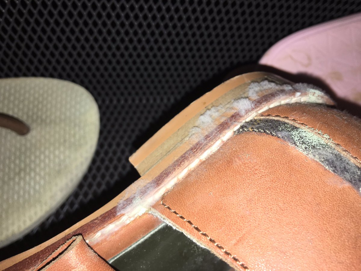 Carly Austin On Twitter Shoes Covered In Mould Entire Wardrobe