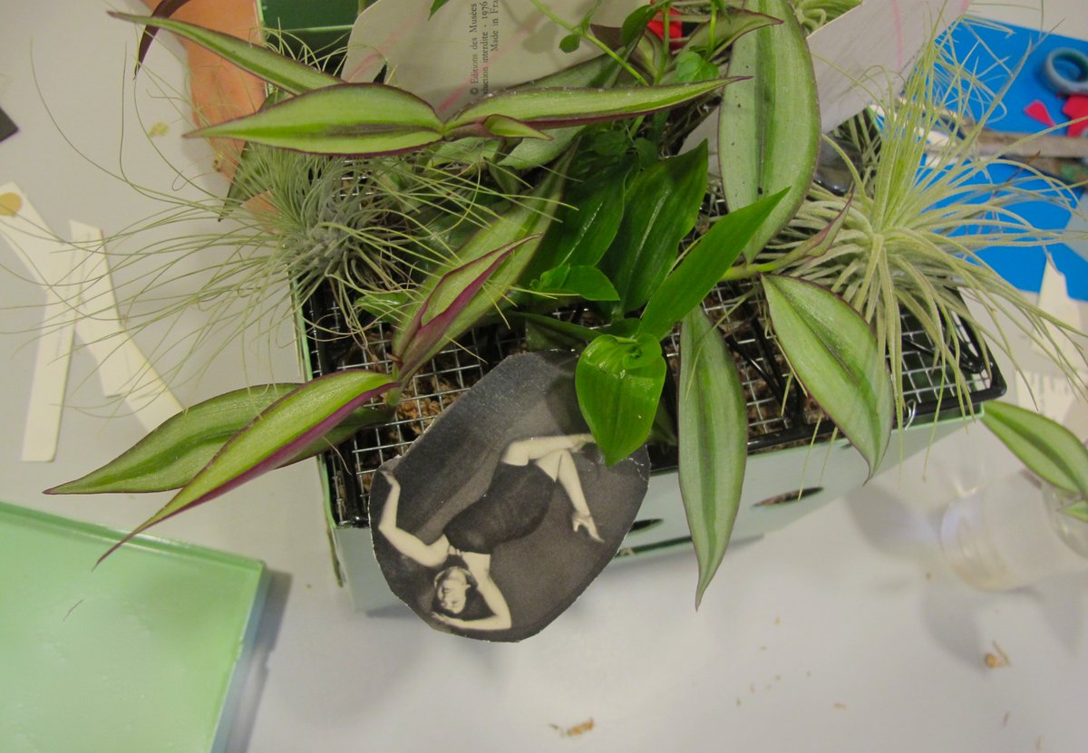 Biomima_Hub's tweet image. TALLER CUADROS BIÓNICOS - BIONIC PAINTINGS WORKSHOP #bionicpaintings #cuadrosbionicos honevo.blogspot.pt/2017/10/taller… #art #science #bioart #bioarte #ciencia #arte