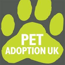 vetpolcommunity's tweet photo. Looking for a new friend?  Animals are updated every 24 hours &amp; you can search by breed and location https://t.co/0dxUIJVJF9 @PetAdoptionUK https://t.co/sIJkrOExL1