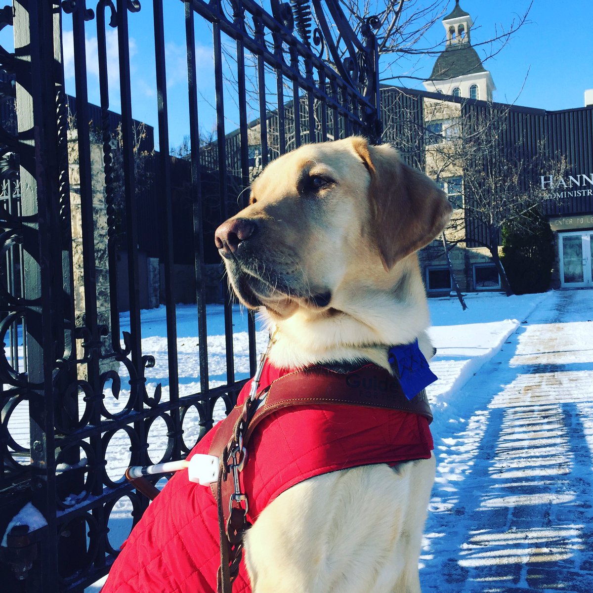 danlundy24's tweet photo. @ProvManitoba  thanks for making us feel so welcome! Holmes seems to think he belongs! https://t.co/uatCbGEebk