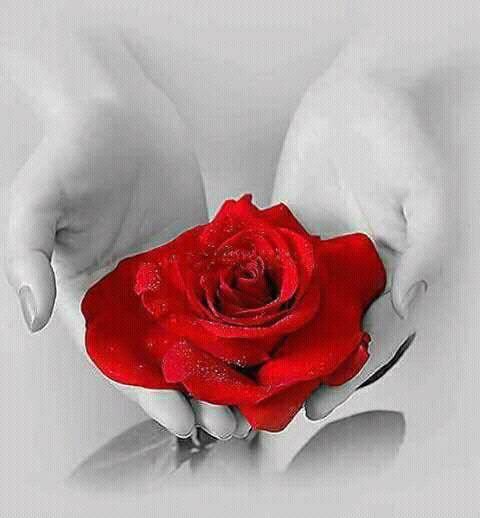 E____d6's tweet photo. @AAlalawi22 الحمد الله علي كل حال https://t.co/X3Lc48gdCF