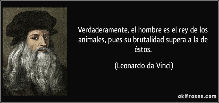 angie_renati's tweet photo. @Luana84473134 @Blahica1 @NubiaMa99823805 @Pontifex #tauromaquiaabolicion https://t.co/AGtoNbpkXh