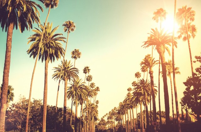 hotravcom's tweet image. The Cheapest Return Sydney to Los Angeles Flights.
Show One Way
 
Flying Virgin Australia.  Return flights from $915
Flying Qantas Airways.  Return flights from $927
Flying Air New Zealand.  Return flights from $864

iwantthatflight.com.au/x3LAX-Cheap-Fl…