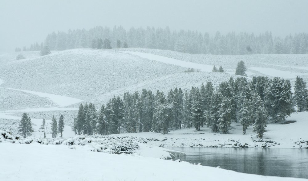 vik_photo's tweet photo. #MondayMotivation 

Our #NationalParks are amazing even in #Winter and sometimes more so... 

https://t.co/A1cJYnra9R 

#Parks #Education #ItsAWinWhen https://t.co/tfP3WghF9A