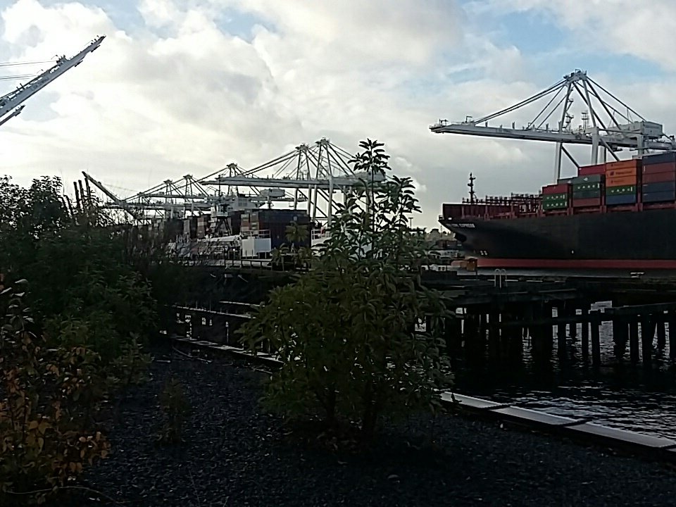 Classedhistoire's tweet photo. Le terminal 30 du port! #seattleport https://t.co/VXFvBrWWBJ