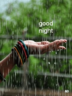 rain rainy season good night image rain rainy season good night image