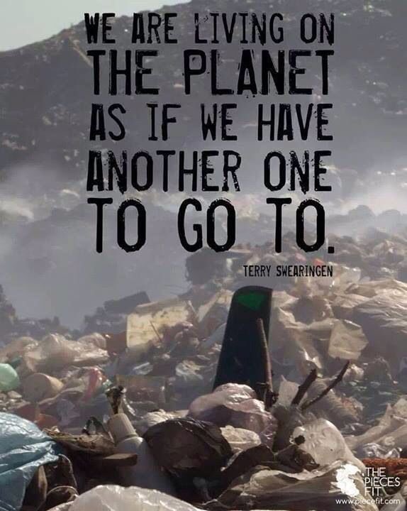 “We are living on this planet as if we have another one to go to.” Terri Swearingen | Time to be kind to our world 🌎 #ClimateAction #COP23 |
#WorldKindnessDay