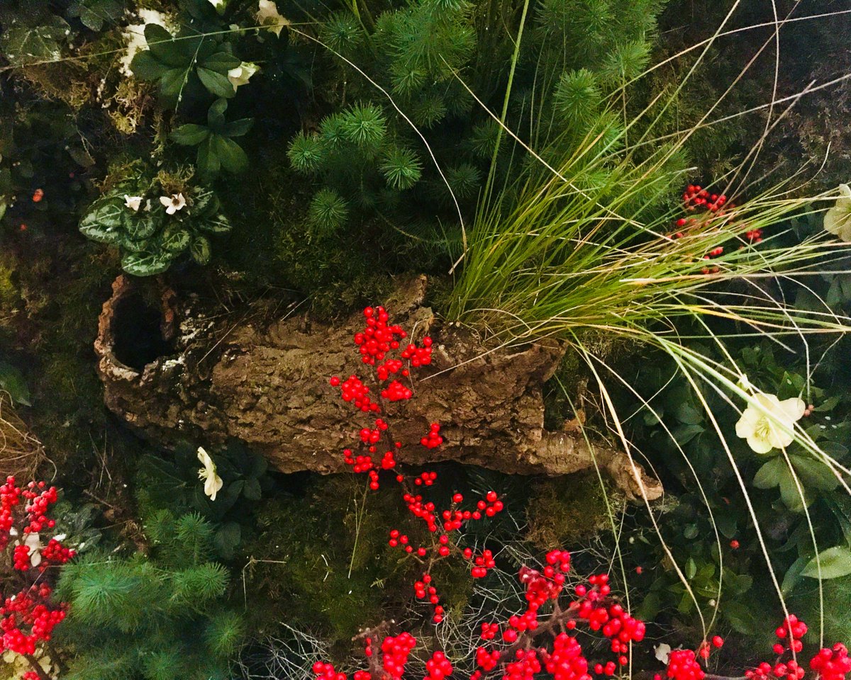 Christmas Lecture Room take over  J-2
Lunch with a view to: the Tree, not yet named, no not yet finish though loved at first sight
A unique collaboration of 4 florists...