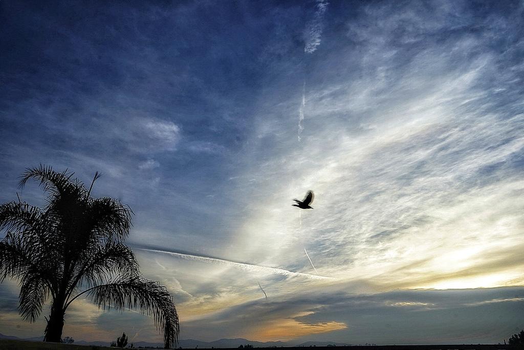 Netta_0272's tweet photo. "Just like moons and like suns, with the certainty of tides; just like hopes springing high; Still I'll rise." ~M.A. #sunrise ๐ #womenwhoserved #mwvo #servedlikeagirl #warriors #WeRise #notyournormalprincess ๐ https://t.co/Sus55cQiDQ
