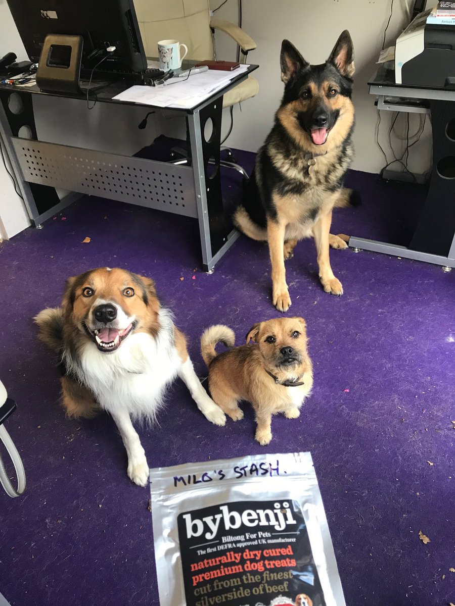 Leucillin tweet media