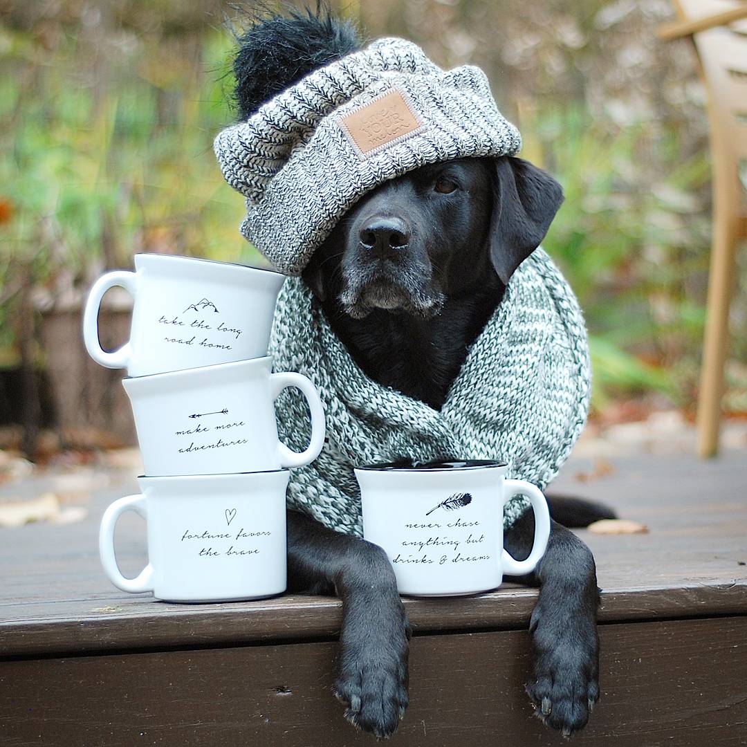 Lucy & Emily tweet media