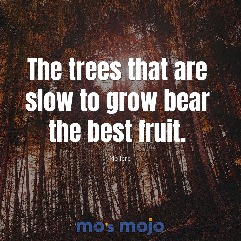 Mos_Mojo's tweet photo. Our Friday Fireups are back! It's been a while, but patience really IS a virtue...🧘‍♂️🧘🏿‍♀️

#business #fridayfireups #mosmojo #motivation https://t.co/3gcWcqkwjR