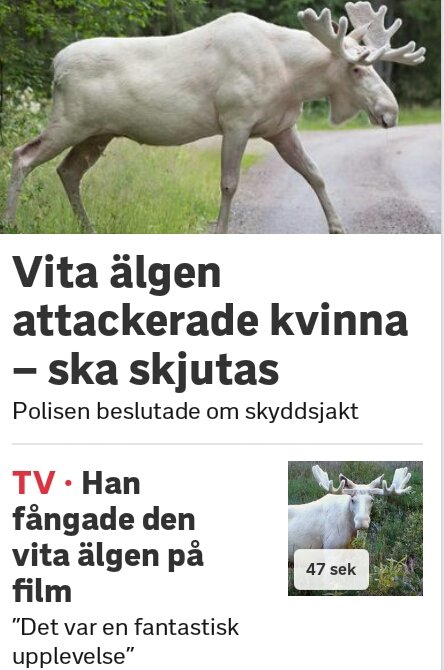 rädda älgen