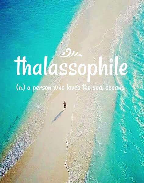 lesmeri's tweet photo. I knew I had a condition.. This clears it up https://t.co/ERWMrwG5Ms