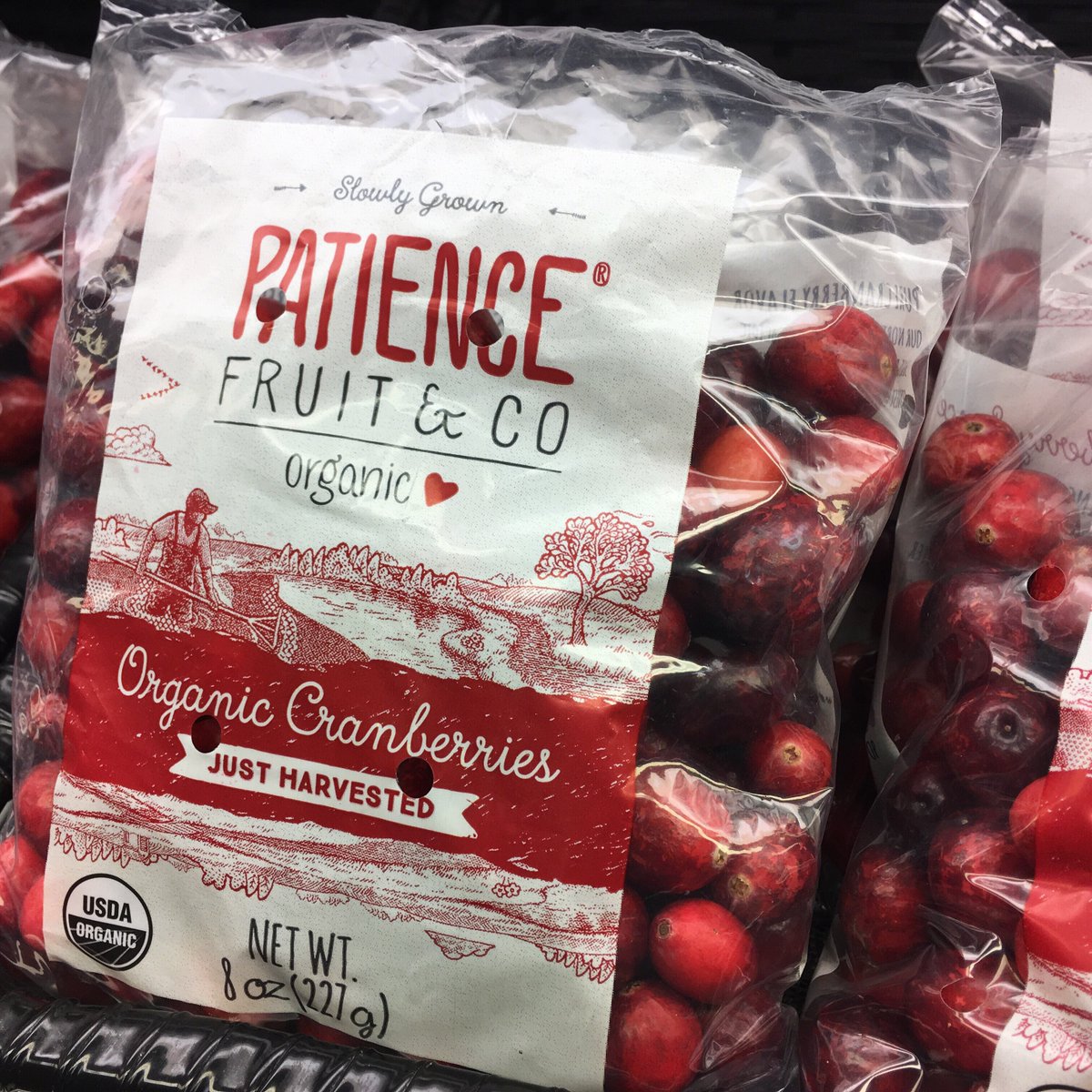rhubarbsmarket's tweet photo. Fresh cranberries spotted, Operation #Thanksgiving prep commence!
#TasteFall #OrganicCranberries
with @patiencefruitco & @FSProduce https://t.co/5IN31VGqER