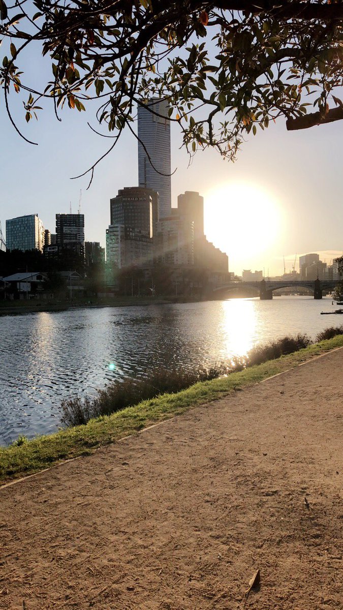mal_197's tweet image. Hello from sunny #Melbourne !