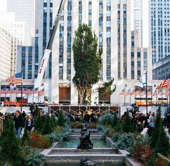 RinconesNY's tweet photo. El 🎄ya está colocado en el Rockefeller Center. Ahora toca adornarlo ⭐️🎀💫🎁⭐️🎊 https://t.co/irhqJuKNEi