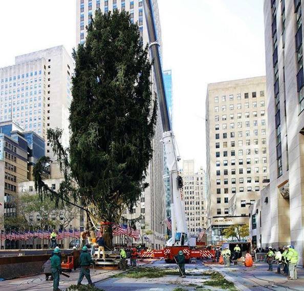RinconesNY's tweet photo. El 🎄ya está colocado en el Rockefeller Center. Ahora toca adornarlo ⭐️🎀💫🎁⭐️🎊 https://t.co/irhqJuKNEi