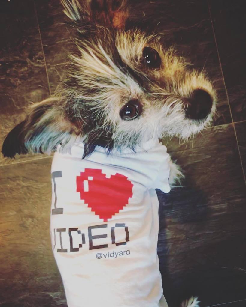michaellitt's tweet photo. We call them”baby-shirts” #vidyardlife #ilovevideo https://t.co/Ls0XSfPTp1 https://t.co/QJEmMqSRpR