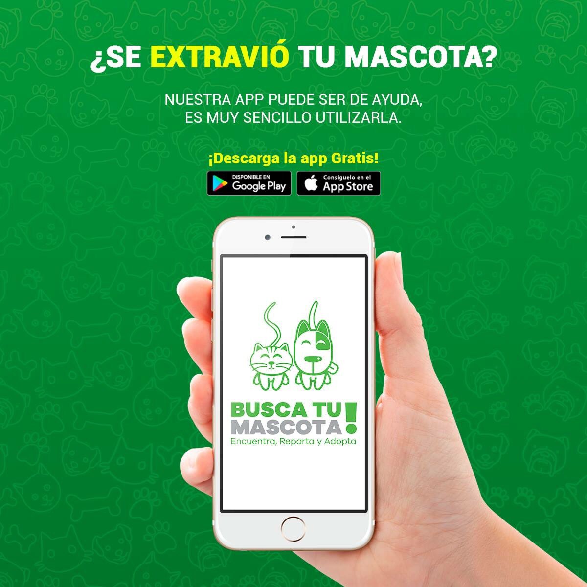 BuscaTuMascota_'s tweet photo. Comienza la búsqueda de tu mascota por medio de nuestra app de manera rápida.
Descárgala es completamente GRATIS. https://t.co/ozoUwqdzaf https://t.co/ghzs1R6L22