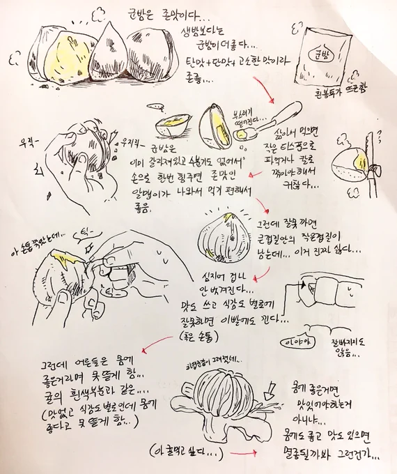 군밤낙서...? 