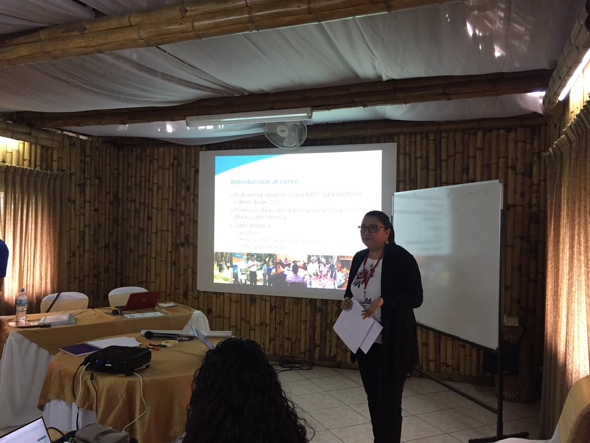 FEDAPAL's tweet image. Participantes en el Curso de Auditor Líder RSPO Ecuador 🇪🇨. Éxitos a todos y bienvenidos @proforest @aexpalmaec @AgriculturaEc @ANCUPAEC @LaPalmaEsVida @ElproductorEC @eluniversocom @elcomerciocom @KiwaLatAm @RADIOZARACAY @darrelwebb @RSPOtweets