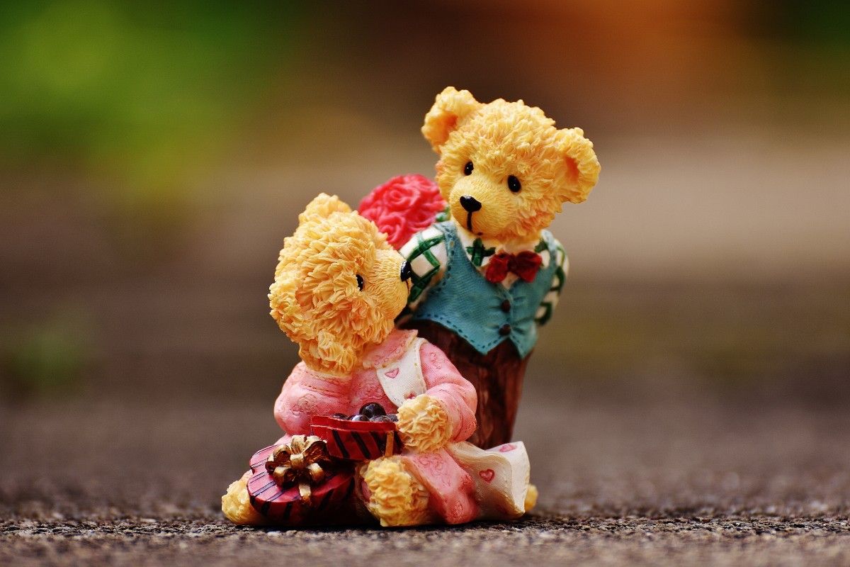 couplestrend's tweet photo. I am so totally, completely, overwhelmingly, eye-poppingly, life-changingly, spectacularly, passionately, deliciously in love with you.

#couplestrend  #flower #couple #couples
#forever #happy #cute #love #smile  #teddybear #lovely https://t.co/0FtCEWLaDC