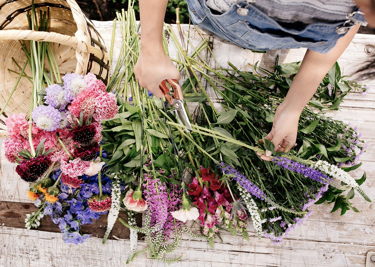 This week in events: food story telling, cheese club, dancing bearded bakers, floral and food styling workshops and more! ow.ly/lOpU30gxCIt