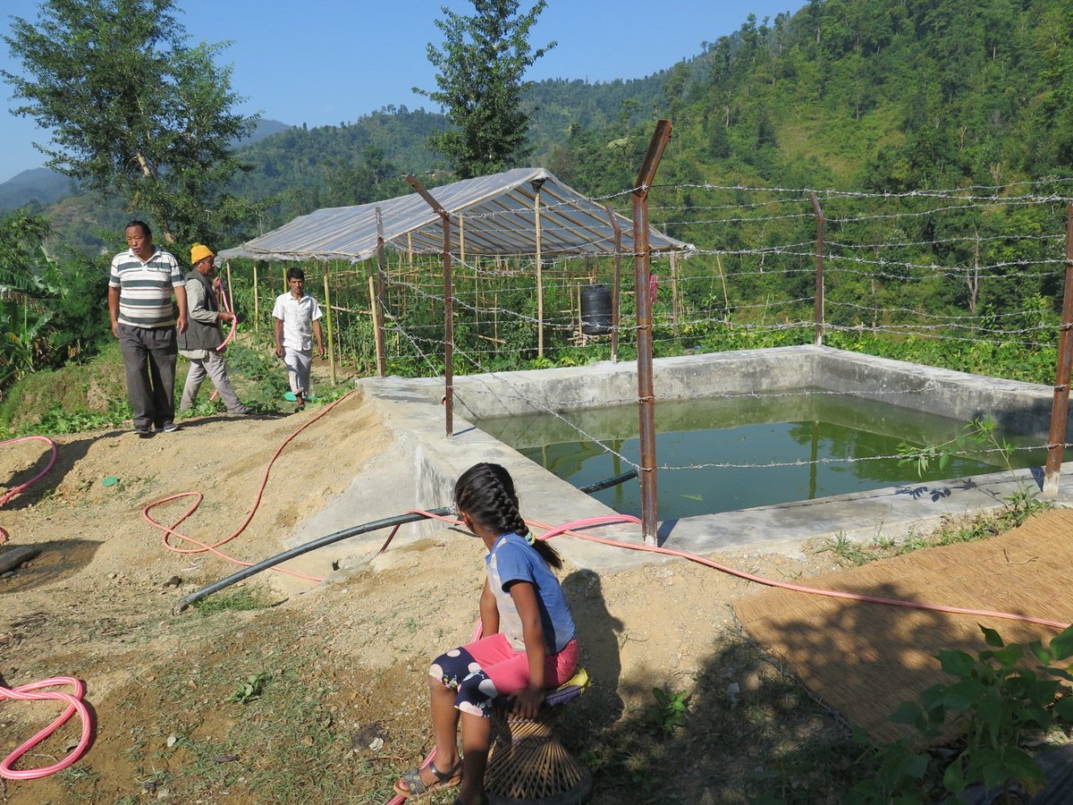 Bmaa's tweet photo. Climate smart and organic vegetable gardens in Udayapur Nepal:  Solar-powered irrigation, bio-fertilizer, bio-pesticide (jholmal),  inter-cropping .  Gender and social inclusion. #CEAPRED #ICIMOD #EU https://t.co/iX42ifpKr8