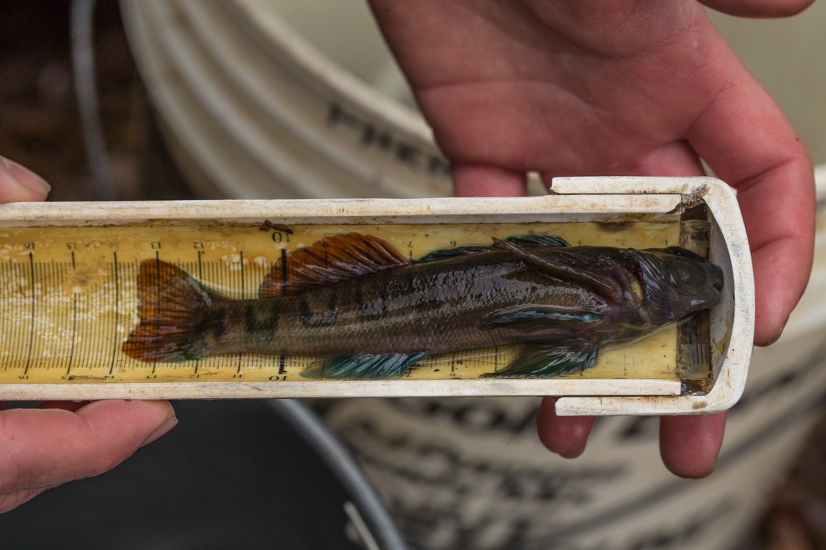 Zach Martin tweet media