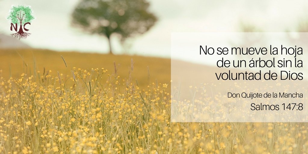 NvosComienzos's tweet photo. #VOLUNTADPERFECTA…. Es la Voluntad de Dios https://t.co/SOhyPi6Jit