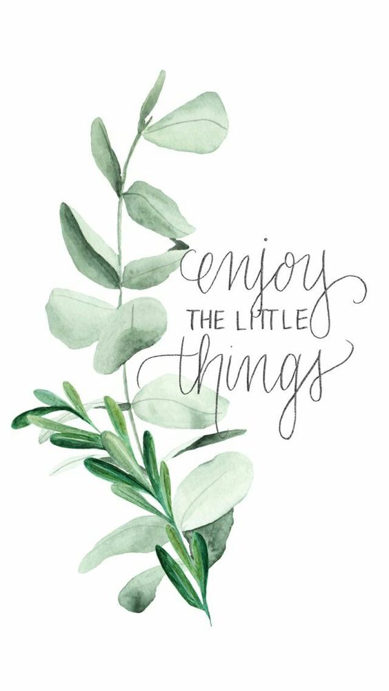 Happy Monday! Enjoy the little things in life! #mondaymotivation #staypositive #happylife