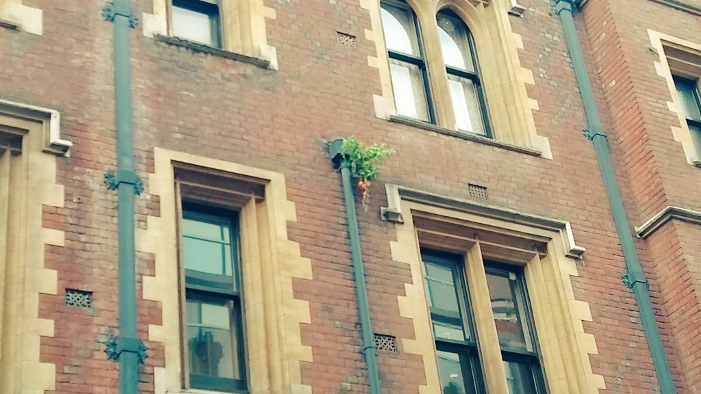 Lydia Nicholas tweet media