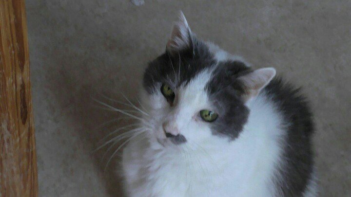 Charles Lance tweet media