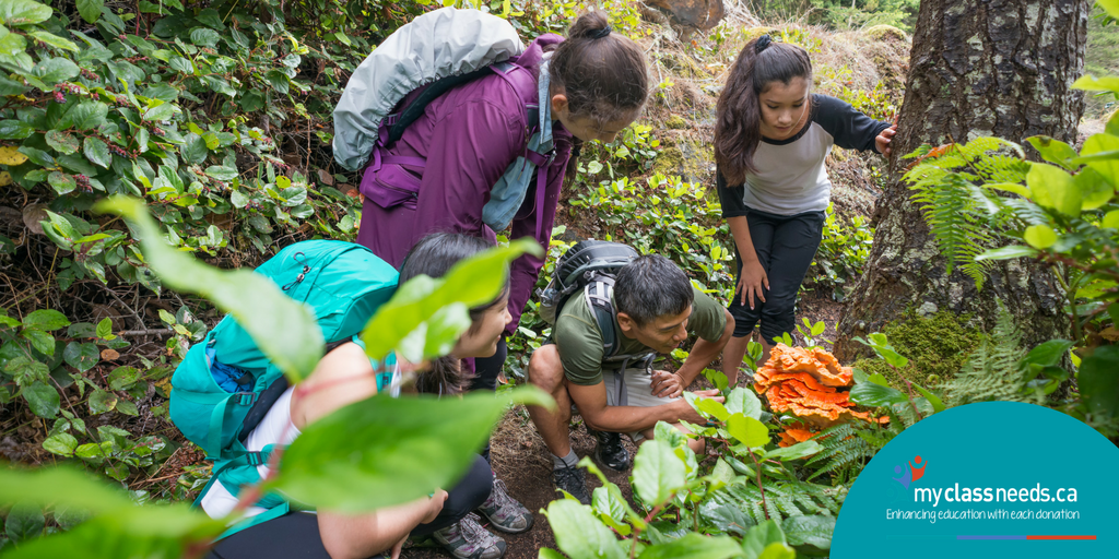 MyClassNeeds's tweet photo. It's not too late to submit a project proposal for up to $1000 in funding from @WintergreenLM's 40 for 40 program! https://t.co/RVl1qORAtG https://t.co/RUT0BlL4hl