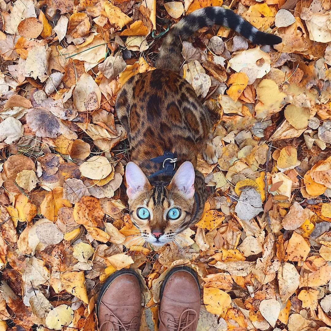 Earthpix tweet media