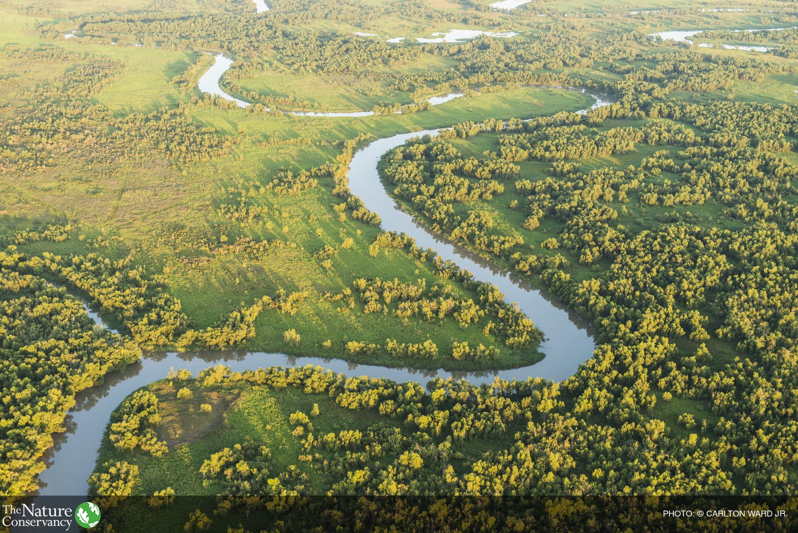Natural Save Rivers The Nature Conservancy on Twitter: