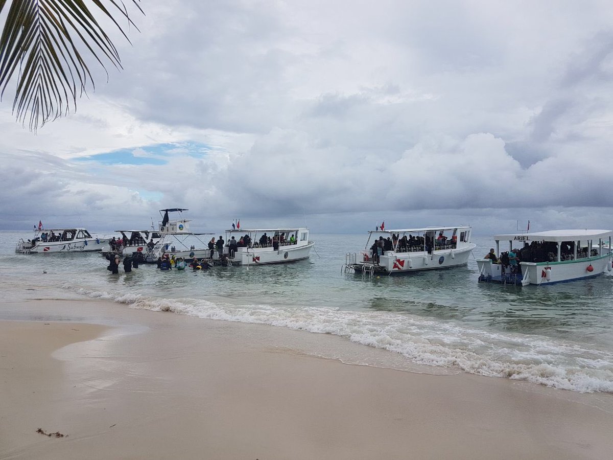 RoatanCharter's tweet photo. A snapshot of some groups we took to @MayanPrincessBR this past weekend & a beautiful line up of their fleet ☀️🌊🛩🏝 #MayanPrincess #Roatan #Dive #Discover #Relax https://t.co/wbkW8O1smn