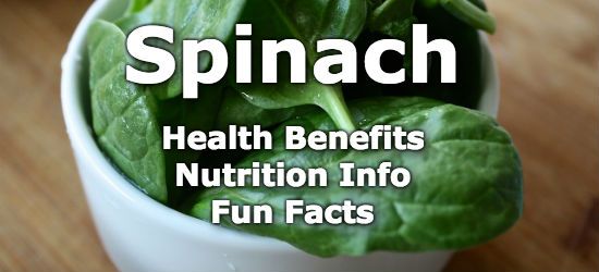 HealthAliciousNess tweet media