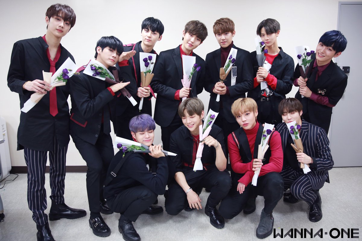 WannaOne_twt tweet picture